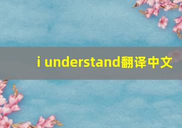 i understand翻译中文